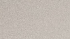 Detectar a tiempo la enfermedad renal crónica puede prevenir complicaciones graves. La comunidad latina tiene un riesgo más alto de desarrollarla.