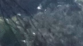 Oficiales de LAPD custodian el Dodgers Stadium, mientras los autos esperan para entrar en la puerta principal, el 19 de junio de 2025.