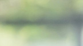 Donald Trump, presidente estadounidense