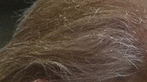 Donald Trump, presidente estadounidense