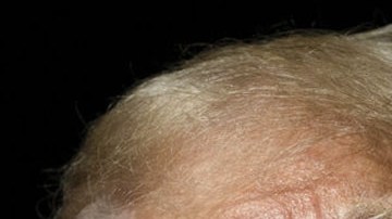 Donald Trump y Elon Musk