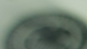 Economista alerta sobre el futuro económico de Estados Unidos