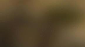 El calor y la humedad afectan la capacidad del cuerpo para regular su temperatura