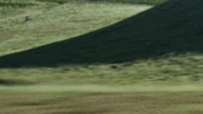 El Nissan Leaf en la pista