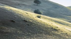 El muy atractivo Porsche Boxster