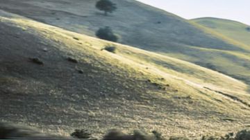 El muy atractivo Porsche Boxster