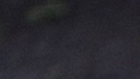 Elon Musk, visionario empresario