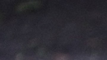 Elon Musk, visionario empresario