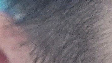 Elon Musk participó como asesor principal del presidente y colaboró con la iniciativa del DOGE.