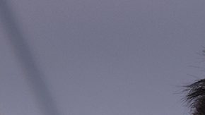 Emanuel Navarrete vs. Charly Suarez_faceoff