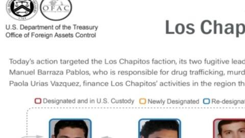 Estructura de Los Chapitos