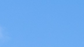 First Watch anuncia la apertura de docenas de nuevos restaurantes en 2025