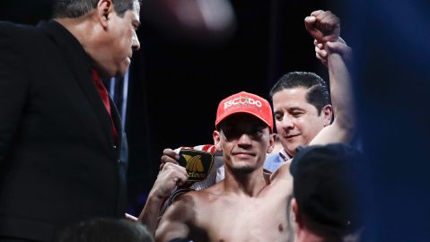 Gallo Estrada