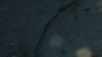 Mujeres y niños, así como las personas mayores o con discapacidad, enfrentan múltiples dificultades para acceder a los alimentos en Gaza.