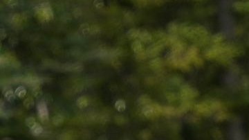 Sheinbaum inicia su participación en el G7 con el frustrado encuentro con Trump de fondo