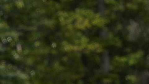 Sheinbaum inicia su participación en el G7 con el frustrado encuentro con Trump de fondo