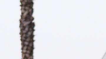 U.S. National Guard are deployed around downtown Los Angeles, Sunday, June 8, 2025, following a immigration raid protest the night before. (AP Photo/Eric Thayer)