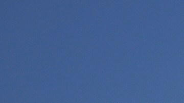 A protester displays a poster as tear gas is used in the metropolitan detention center of downtown Los Angeles, Sunday, June 8, 2025, following last night's immigration raid protest. (AP Photo/Eric Thayer)