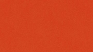 Hombre predice a su esposa que gana la lotería