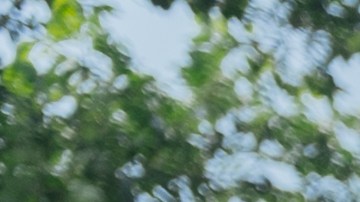 El 13 aniversario de DACA es una alarma para proteger a los dreamers cuando arrecia la represión contra inmigrantes.