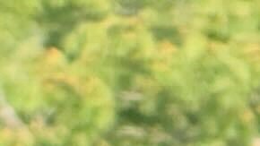 La oficina del ICE indicó este lunes que hubo un error en la detención, ya que los agentes buscaban al padre del joven.