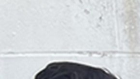 ICE y otras agencias federales mantienen operativos contra indocumentados.