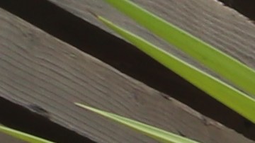 Líderes afrodescendientes dicen entender muy bien la represión que ahora vive la comunidad ltina.