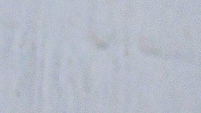 San Luis, San Luis, 6 de Julio de 2024. Javairo Dilrosun, durante el partido correspondiente a la jornada 1 del torneo Apertura 2024 de la Liga BBVA MX, entre los Potosinos del Atlético de San Luis y las águilas del América, celebrado en el estadio Alfonso Lastras. Foto: Imago7/ Olimpia Puga