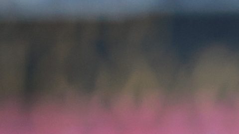 Ciudad de México, 30 de noviembre de 2024. Efraín Álvarez, durante el partido de vuelta de los Cuartos de Final del torneo Apertura 2024 de la Liga BBVA MX, entre la Máquina Celeste del Cruz Azul y los Xolos de Tijuana, celebrado en el estadio Ciudad de los Deportes. Foto: Imago7/ Manlio Contreras