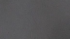 Guadalupe, Nuevo León, 1 de febrero de 2025. , durante el partido correspondiente a la jornada 5 del torneo Clausura 2025 de la Liga BBVA MX, entre los Rayados del Monterrey y los Rayos del Necaxa, realizado en el estadio BBVA. Foto: Imago7/ Juan Ángel Ovalle