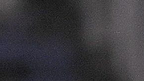 Los Rayos sumaron a un nuevo elemento a su plantilla.