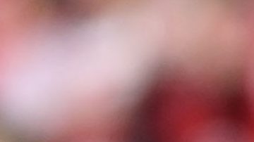 Javier Aguirre, seleccionador de El Tri.