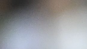 Chapel Hill, Carolina del Norte, Estados Unidos, 10 de junio de 2025. @@@@, durante el partido de preparación del MEXTOUR 2025, entre la Selección Nacional de México y la Selección de Turquía, celebrado en el Keenan Stadium. Foto: Imago7/ Etzel Espinosa