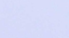 Fernando Gago es el nuevo entrenador del Necaxa.