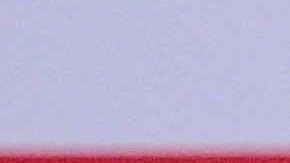 Fernando Gago fue presentado por todo lo alto en el Necaxa.