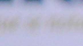 Fernando Gago en su rueda de prensa de presentación con el Necaxa.