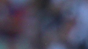 Sergio Ramos celebra el gol que le marcó al inter de Milán.