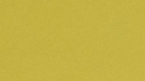 Arlington, Texas, Estados Unidos, 18 de junio de 2025. @@@@, durante el partido correspondiente a la fase de grupos del Grupo A de la Copa Oro de la CONCACAF 2025, entre la Selección de Surinam y Selección Nacional de México, celebrado en el AT&T Stadium. Foto: Imago7/ Etzel Espinosa