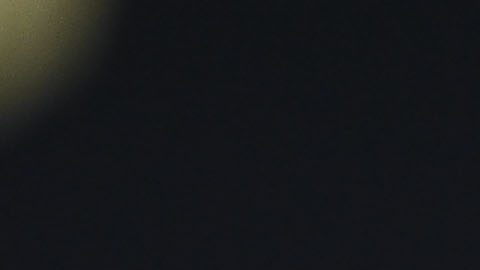 Las Vegas, Nevada Estados Unidos de América a 21 de junio. Javier Aguirre, director técnico y Roberto Alvarado "Piojo" , durante la conferencia de prensa previa al tercer partido de la fase de grupos de la copa oro 2025, realizada en el estadio Allegiant. Foto/ Imago7/ Etzel Espinosa