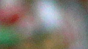 Matías Almeyda durante su etapa como DT en Chivas.