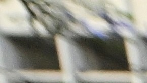 Demonstrators march in protest of recent ICE raids Thursday, June 12, 2025, in Los Angeles (AP Photo/Wally Skalij)