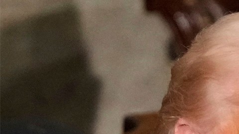 El presidente no ha precisado en dónde tendrían lugar esas conversaciones.