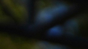 La alcaldesa Karen Bass ayudará a los inmigrantes con dinero en efectivo.