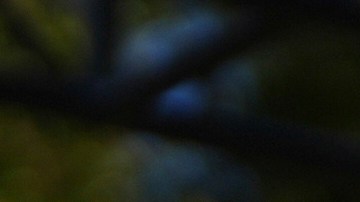 La alcaldesa Karen Bass ayudará a los inmigrantes con dinero en efectivo.