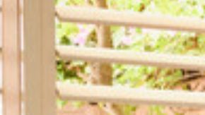 Karol G Tropicoqueta