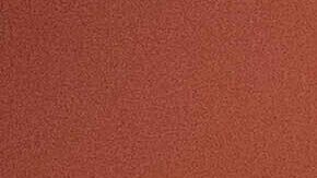 Pese al fallo, es probable que permanezca detenido bajo custodia de inmigración.