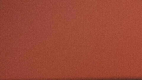 Pese al fallo, es probable que permanezca detenido bajo custodia de inmigración.