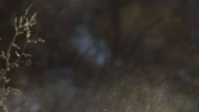 La súper poderosa Bronco Raptor 2025 está en descuento