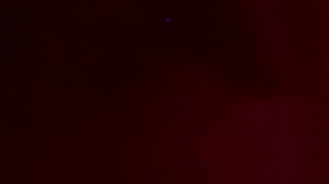 Laura Flores revela entre lágrimas que Lalo Salazar la bloqueó tras sufrir crisis de salud