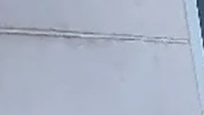 Lauren Ingrid Flanigan